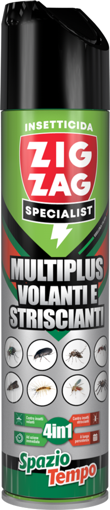 ZigZag Spazio Tempo Insetticida Multinsetto 600ml